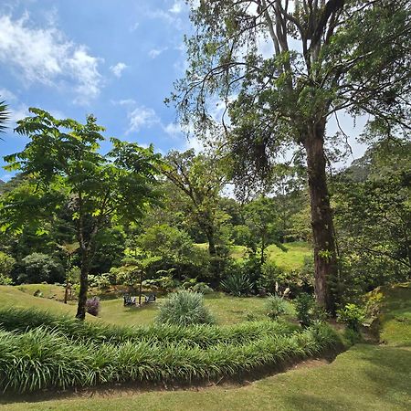 Monteverde Casa Mia, Near Main Attractions And Town! Kültér fotó