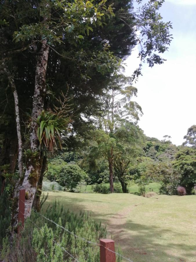 Monteverde Casa Mia, Near Main Attractions And Town! Kültér fotó