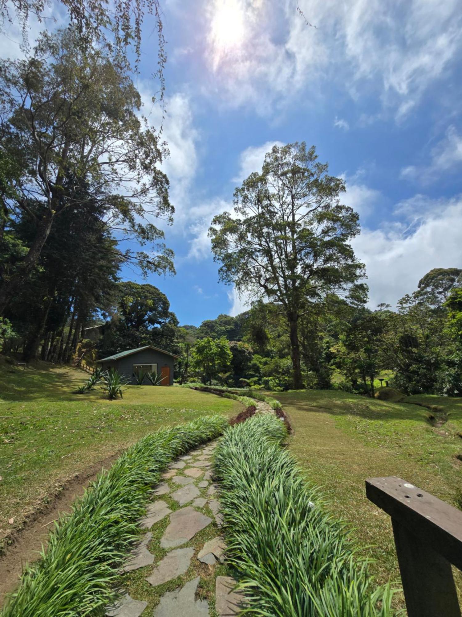 Monteverde Casa Mia, Near Main Attractions And Town! Kültér fotó