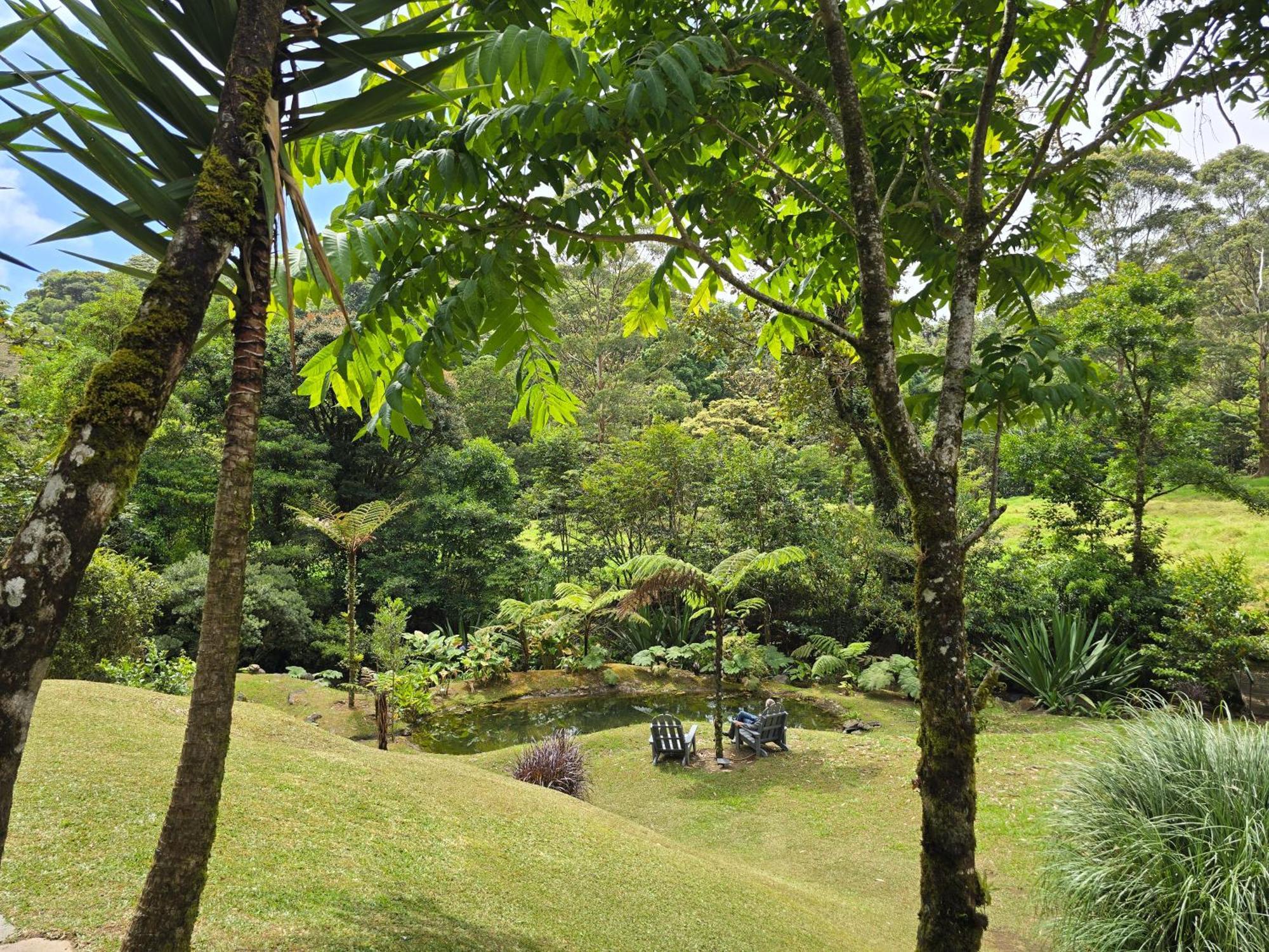 Monteverde Casa Mia, Near Main Attractions And Town! Kültér fotó
