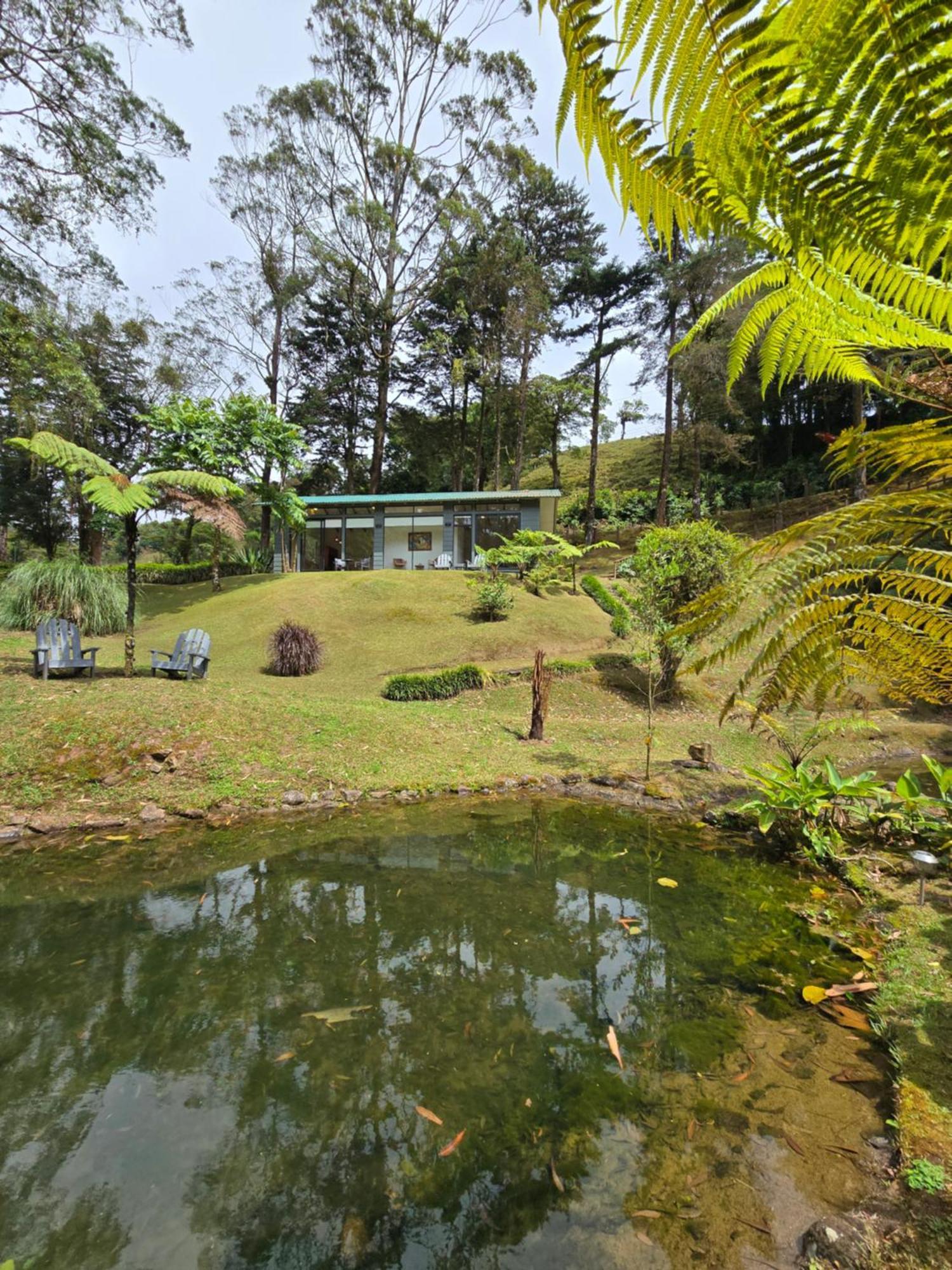 Monteverde Casa Mia, Near Main Attractions And Town! Kültér fotó