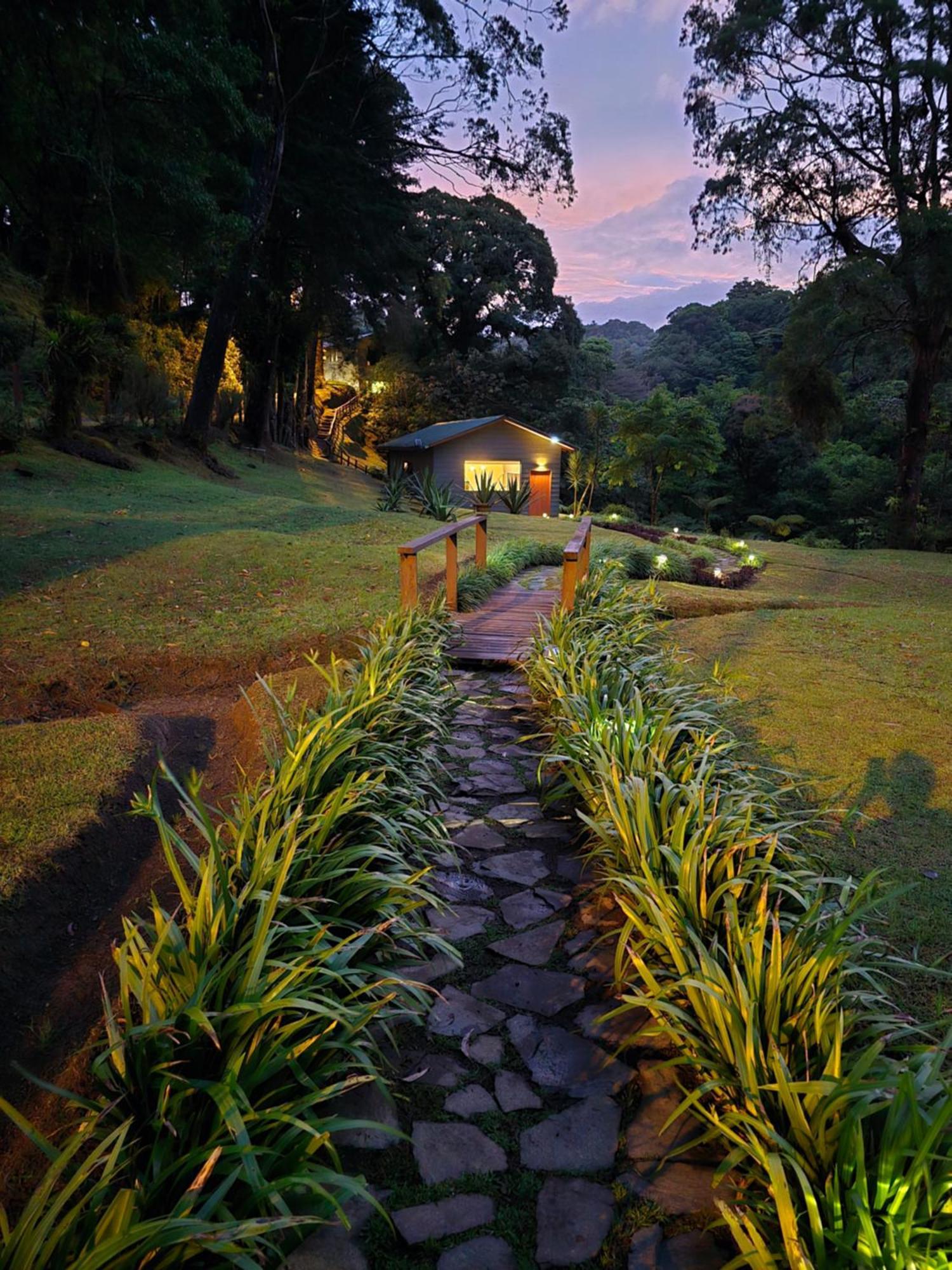 Monteverde Casa Mia, Near Main Attractions And Town! Kültér fotó