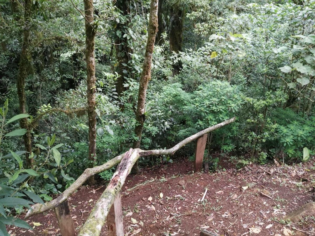 Monteverde Casa Mia, Near Main Attractions And Town! Kültér fotó